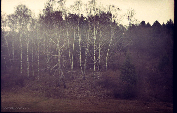 jovan film photography